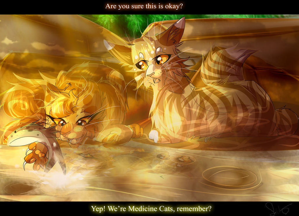 Leafpool Leafpool and Mothwing (Warrior Cats) by WarriorCat3042 on DeviantArt
