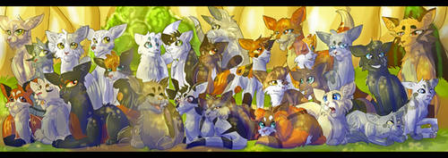 Omen of the Stars (Warrior Cats)