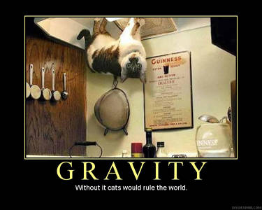 Motivational Poster - Gravity
