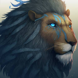 Db Wuhtcbctdim Db Wuhtcbctdim