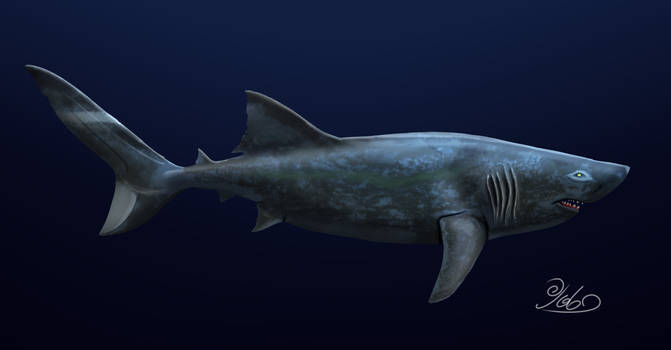 Speculative deep sea Megalodon