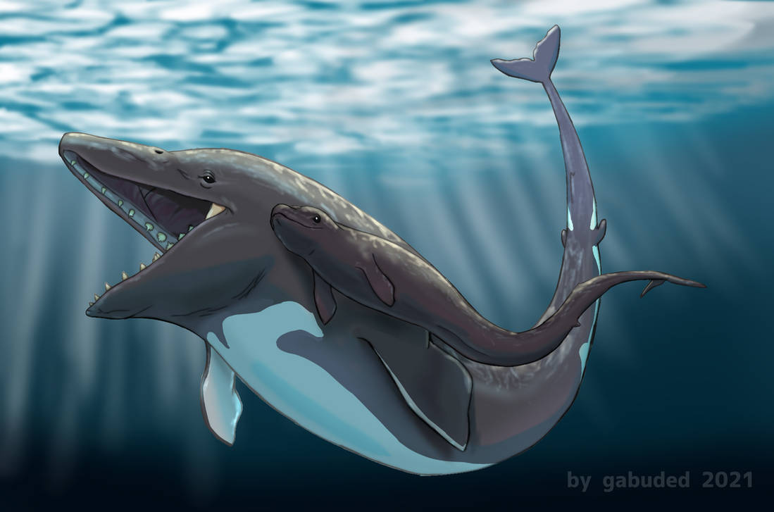 Basilasaruous Basilosaurus Blubber at Rachel Vance blog