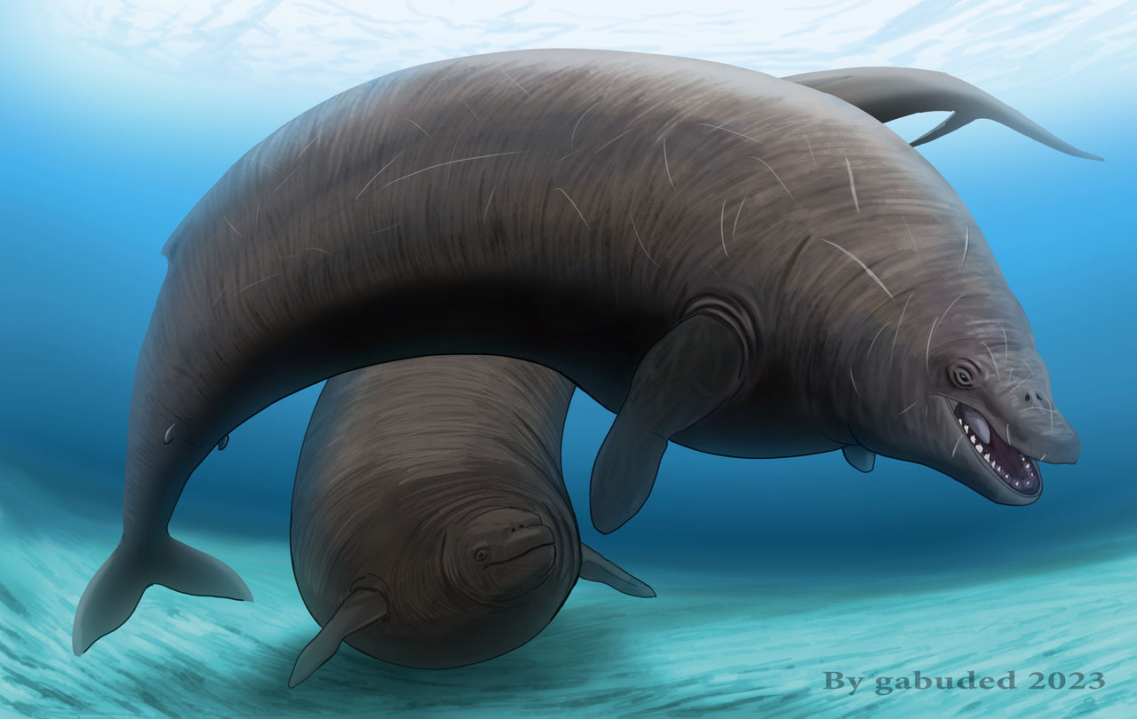 Perucetus Perucetus colossus by Gabuded on DeviantArt