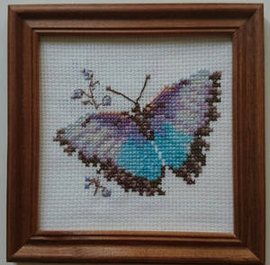 Cross-stitched morpho