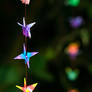 papercranes II