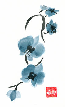 Blue Orchids