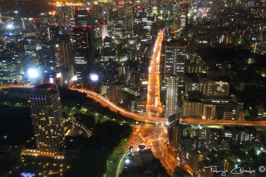 From Tokyo's Tower