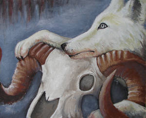 Wolf and bighorn skull
