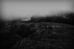 All souls pass by SoraBelle