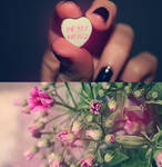 Happy Valentine's Day by SoraBelle