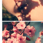Flora's Secret by SoraBelle