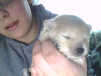 I GOTZ'A MINI POLAR BEAR