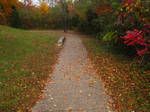 A Little Walkway in Fall by Mistshadow2k4
