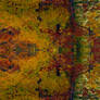 Fall Kaleidoscope I