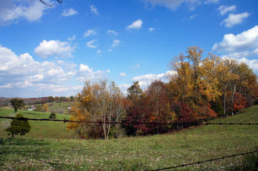 Rural Autumn Charm IV