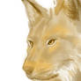 Lynx Tala portrait. Sketch.