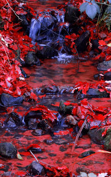 And Within Red. A River.