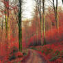 Red Pathway