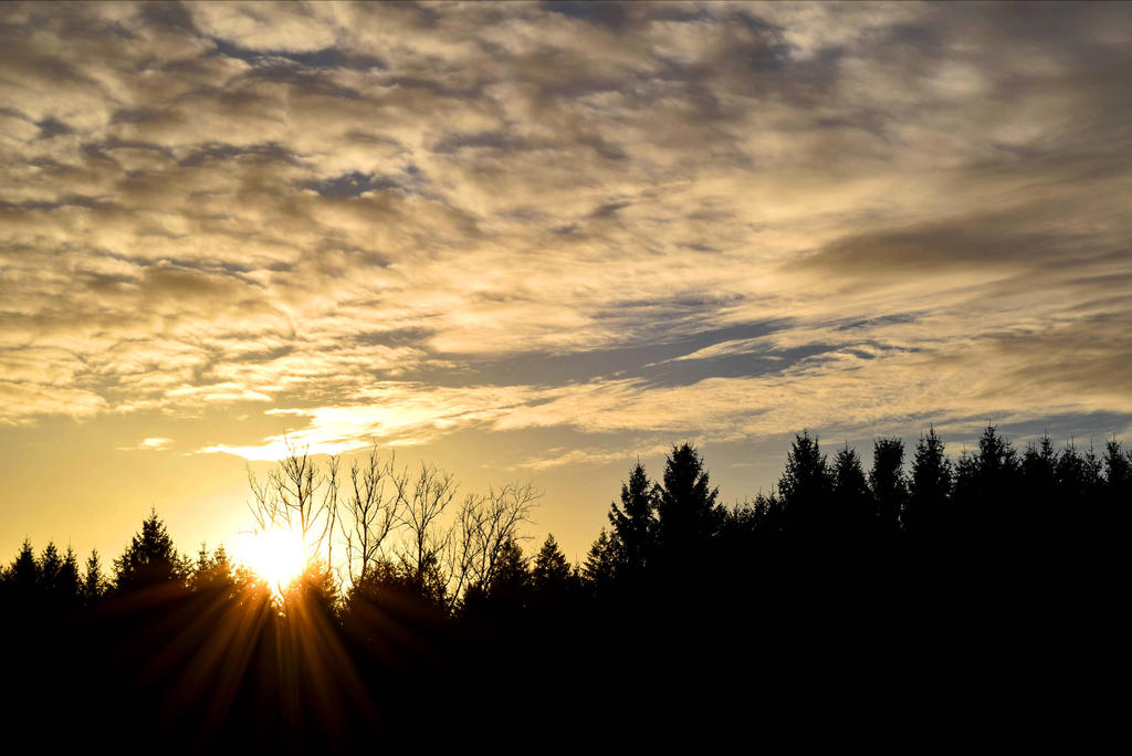 Dawn by Aenea-Jones