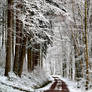 Snowland III