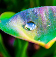 Rainbow Drop