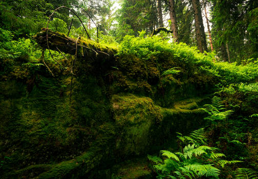 A Place for Faeriefolk by Coccineus