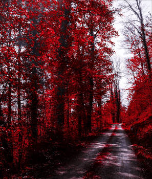 Bloodred Forest VI