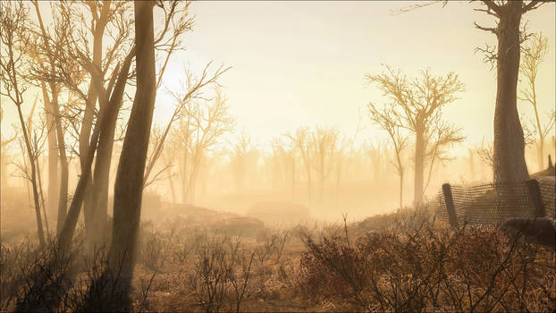 Morning Mist in the Wasteland