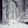 Eternal Winter II