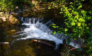 Little Falls II