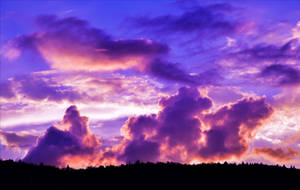 Skyward Dreams XVI