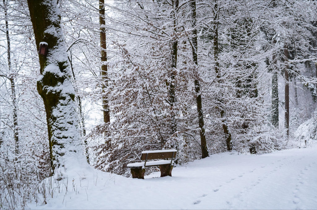 Cold Resting Place by Coccineus on DeviantArt