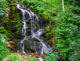 Bleakburrow Falls VIII