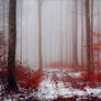 Bloodred Forest XII