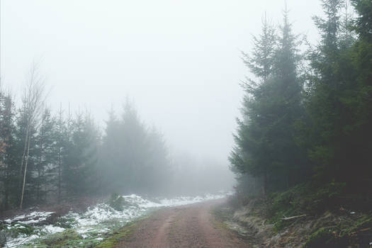 Ghostly Path