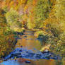 Autumn River