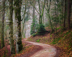 Va fail, elaine... v3.0