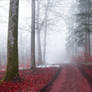Bloodred Forest XXI