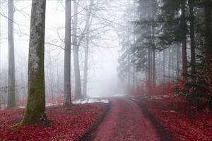 Bloodred Forest XXI