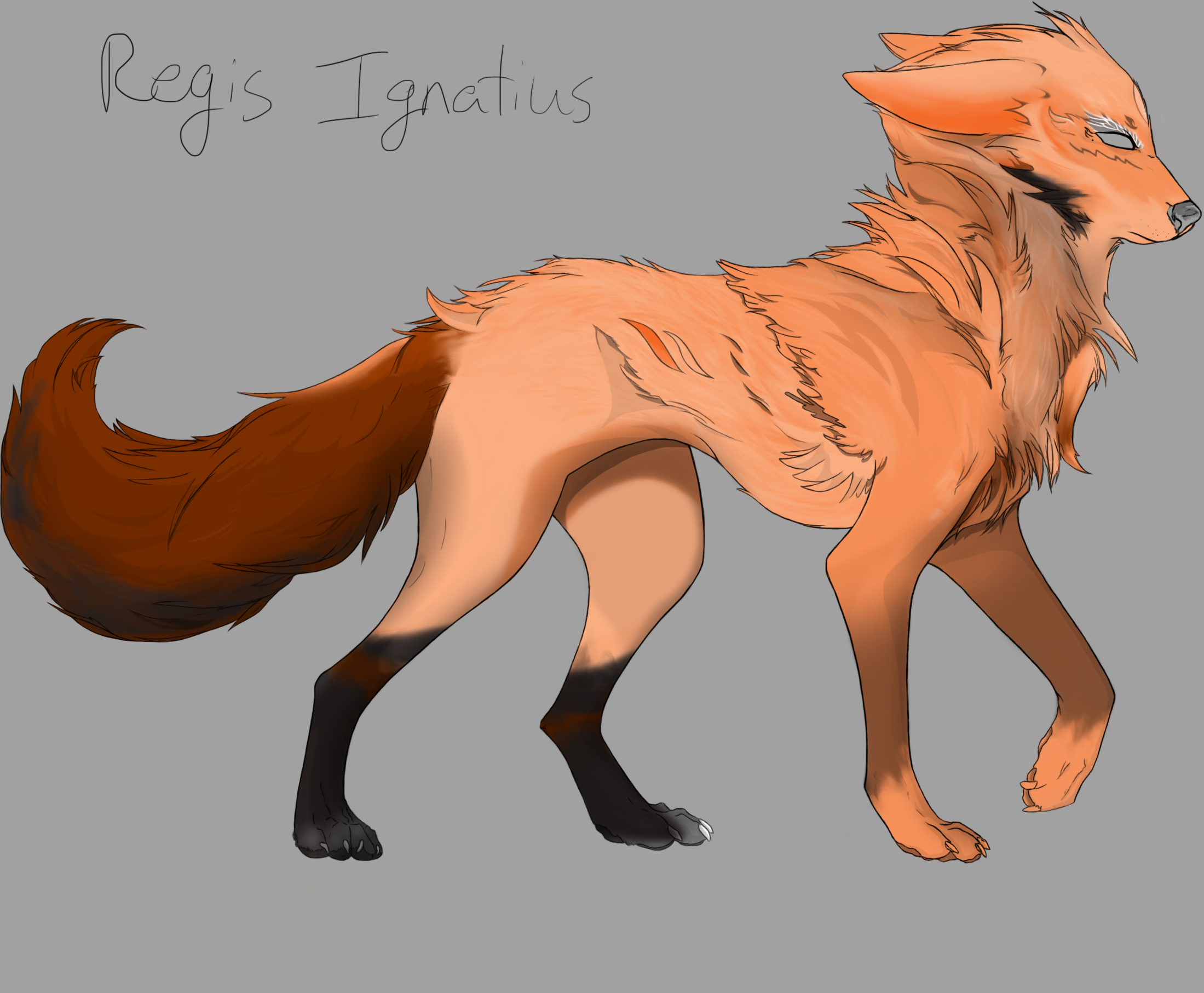 wallpapers Wolf Oc Ideas wolf oc idea progress by hot tamale