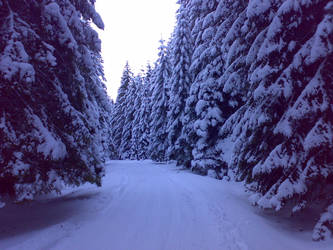 Winter road