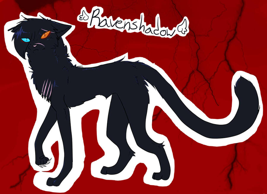 Ravenshadow Ravenshadow Ref by TheWindsVoice on DeviantArt