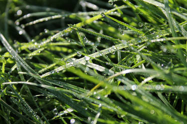 Apres la pluie vient le beau temps