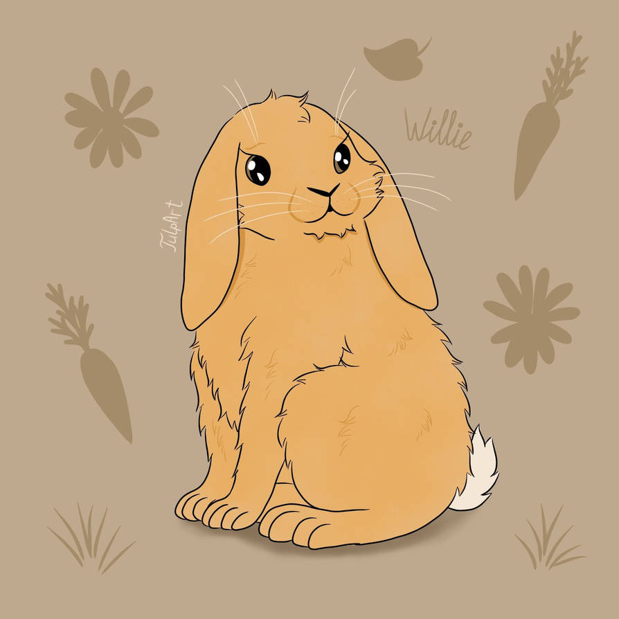 Willie Rabbit by tulpart4 on DeviantArt