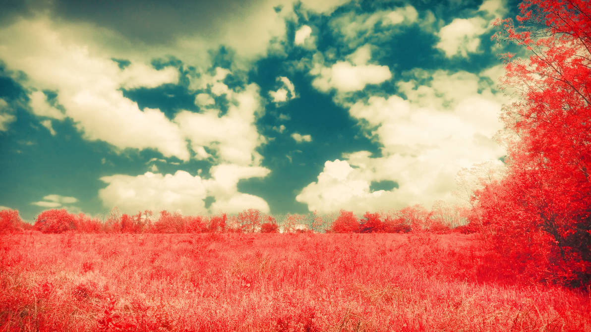Field against the Sky by DevaPan