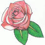 Rose 2