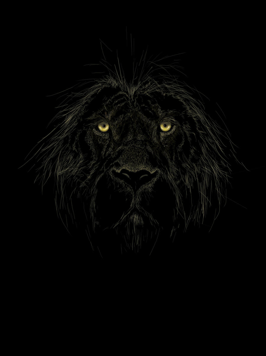 Black Lion By Ian Somers On Deviantart