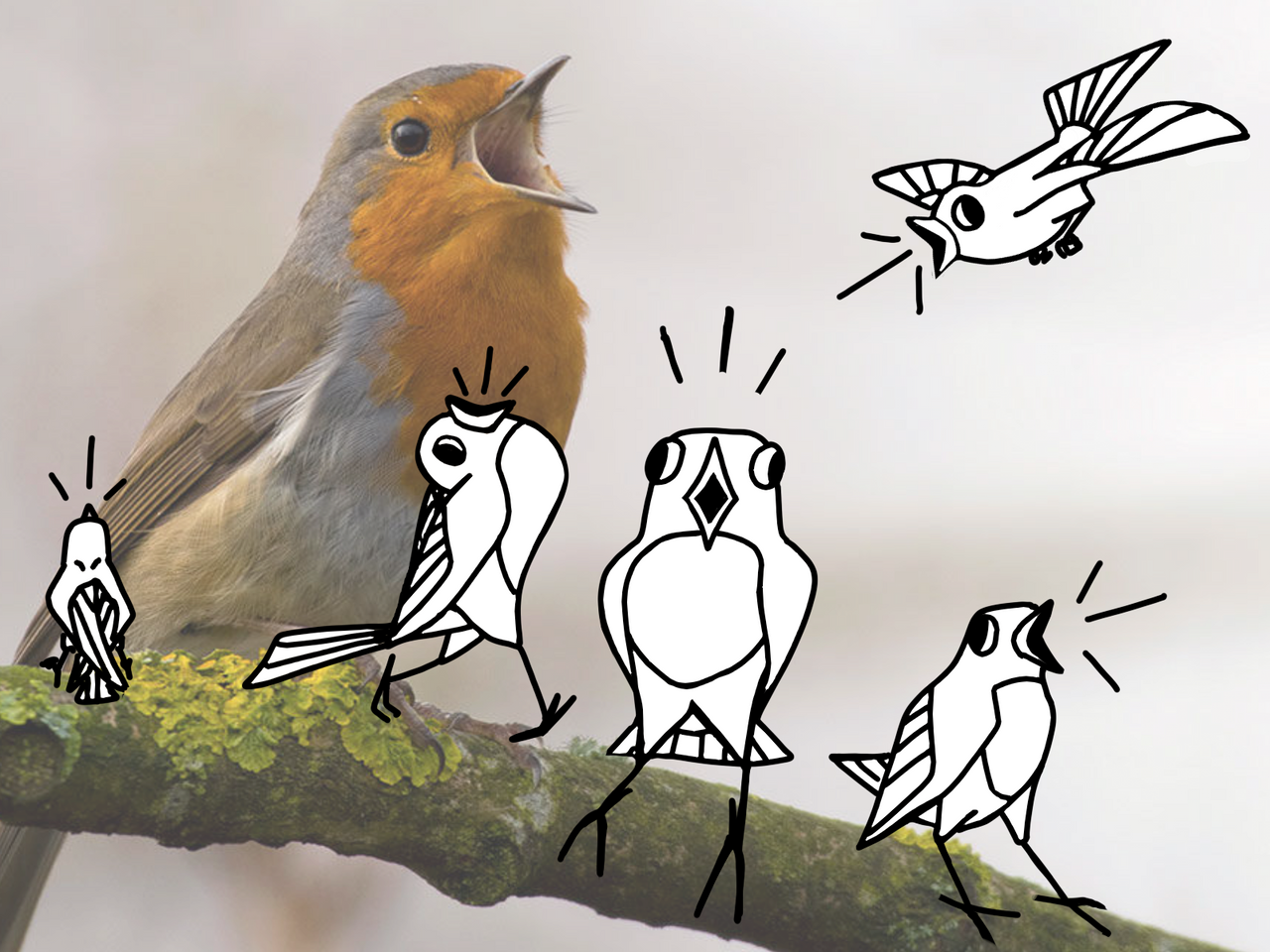 Doodle Birds By S1rdrake On Deviantart Doodle Birds By S1rdrake On Deviantart
