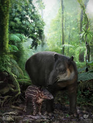 Baird's Tapir with calf
