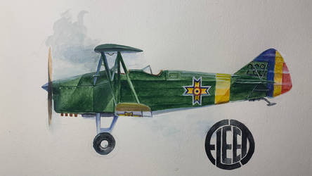 Romanian Fleet f-10g. Watercolors